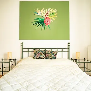 Colors Apartman